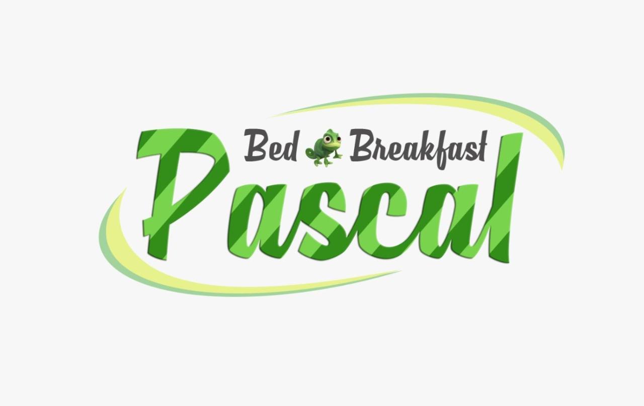 B&B Pascal Cagliari Exteriör bild